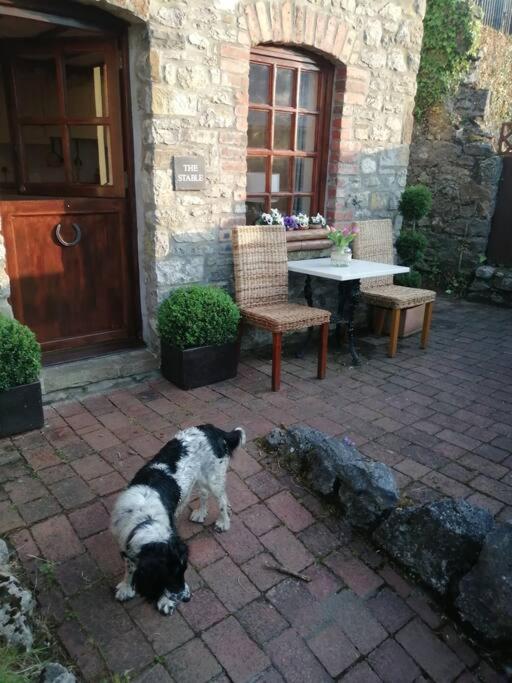 1 Bed The Stable At Llanrhidian Gower With Sofa Bed For Additional Guests